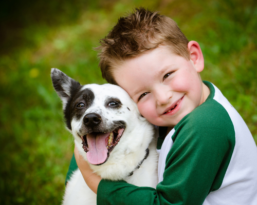 Protect your family with Greentech's flea and tick prevention service.